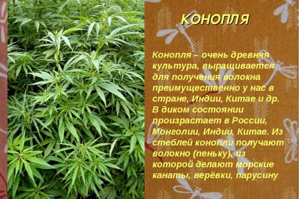 Ссылка кракен официальная тор